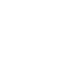 W4 Logo